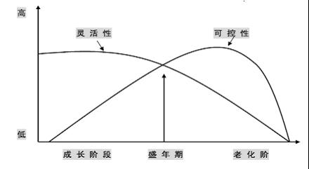 李彦炜寻找细分行业的隐形冠军