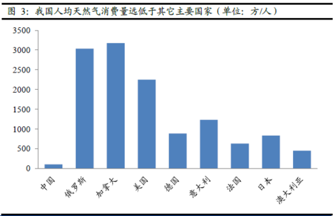 汽车燃料消耗量标识_人均燃气消耗量(2)