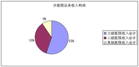 收入证明_医疗机构收入(2)