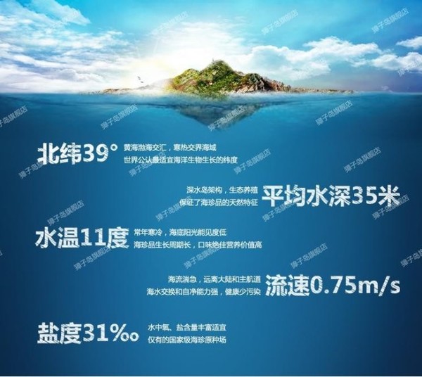 路过十八次: 獐子岛,壹桥苗业,好当家,东方海洋