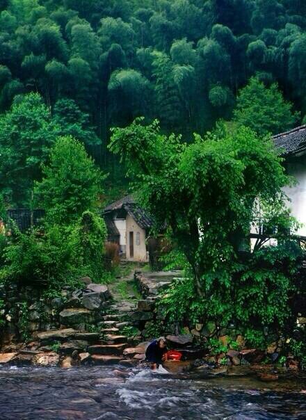 来寻剑客,几回落叶又抽枝。自从一见桃花后,直