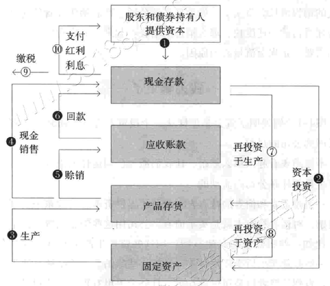 资金的循环流动