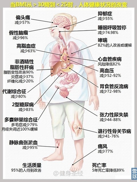 世界人口的平均寿命_世界人口的平均寿命