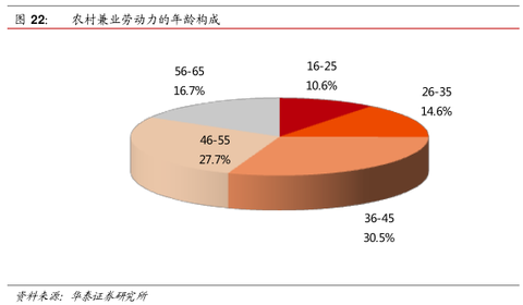 劳动力计划表_不在劳动力人口