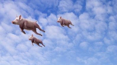 回复@一只特立独行的猪