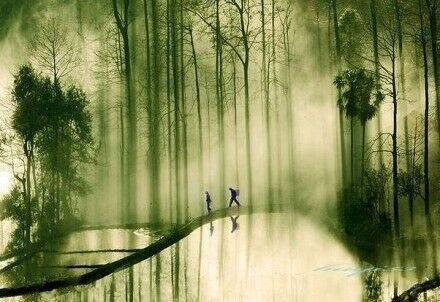 九月ty: 买房归来看股市,纵使相逢应不识 买房归