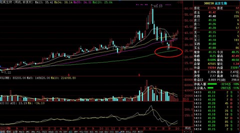 无声: 耐心等待瓜熟蒂落(三季报巡礼):冠昊生物