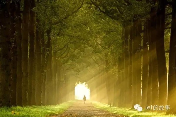 淡定前行: 【2015年度总结】离别,是为了更好的