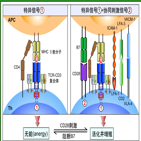 1524ffb0a0312133fec2d10d.png