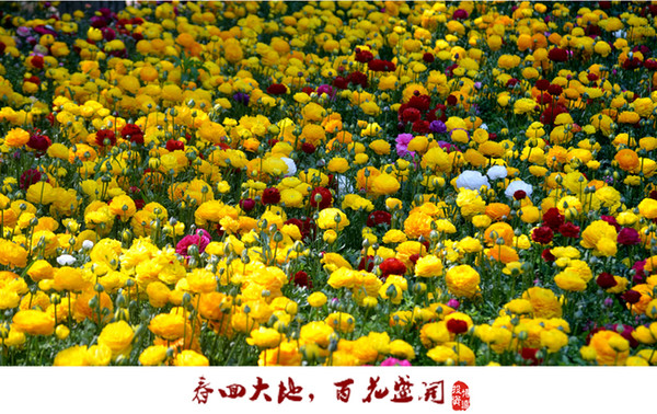 实是一场迟来的春天 继昨日确立升势后,沪深两