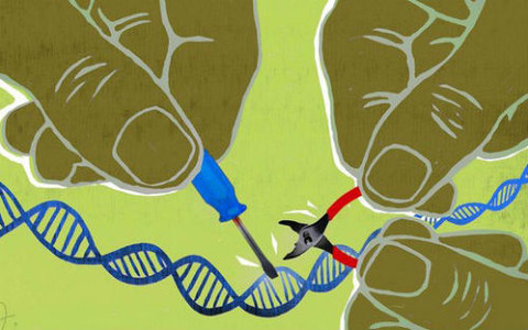 sciencecrispr技术新应用快速鉴别基因变异