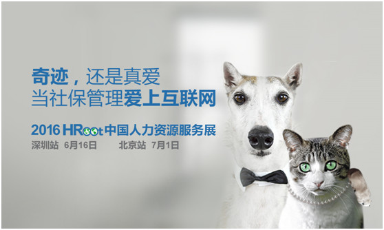 易社保、欢雀小保、金柚网这三个平台,哪个比