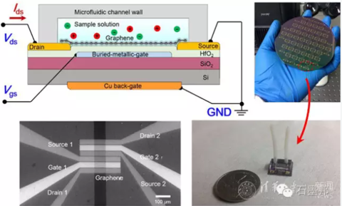 免标记亲和型石墨烯场效应管传感器是生物传感领域的前沿热点