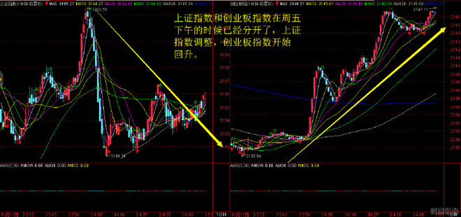 养一只猪能创造多少gdp_一只猪侧躺着像人的图