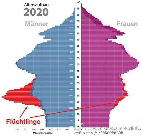 天月剑:德国2020年人口结构图