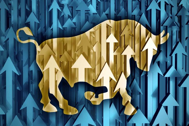 TLS美股研究: 分享今年你最看好的美股牛股就