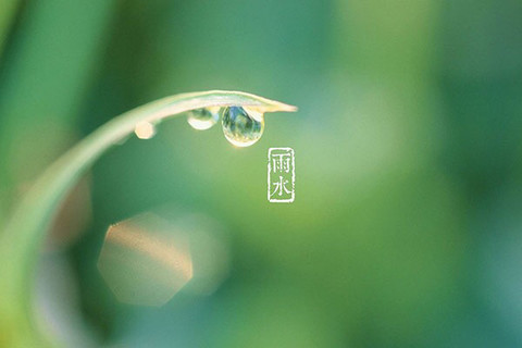 呼唤良知图片,心的呼唤图片,不忘良知图片_大山谷图库