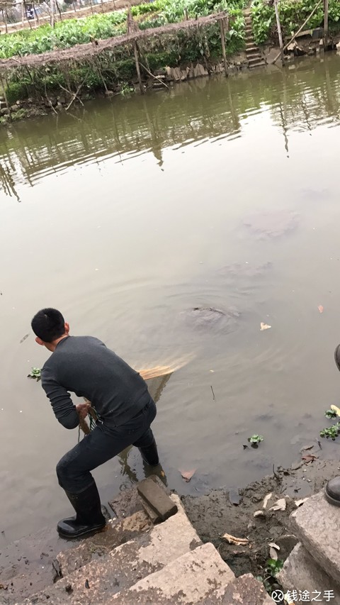 顺势猎食9413:要学会三天打鱼 两天晒网