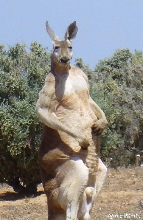 Ĵֺ2׸߾ʹ