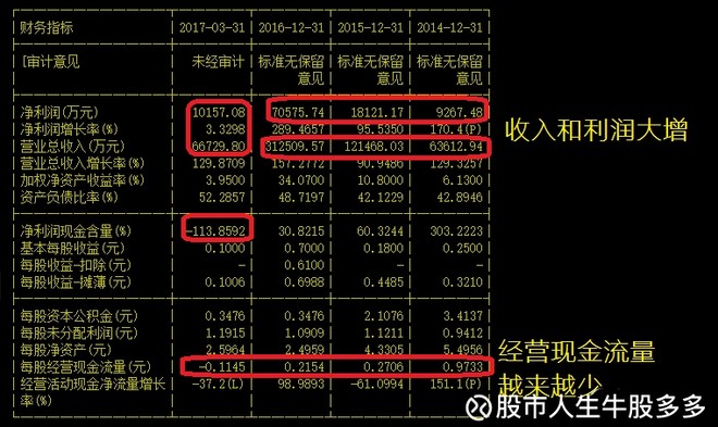 股市人生牛股多多: 关于高成长股业绩造假所想