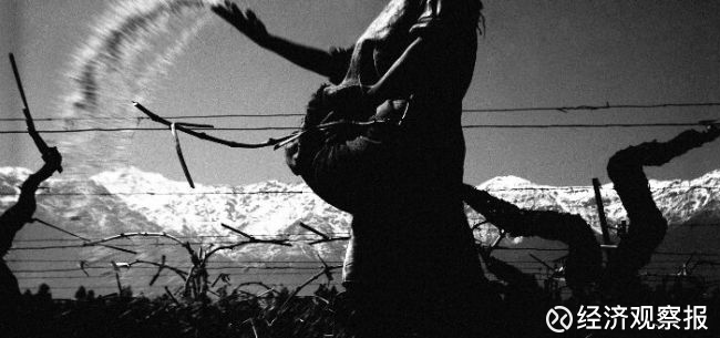 金正大 (SZ002470)_金正大 股票价格_金正大