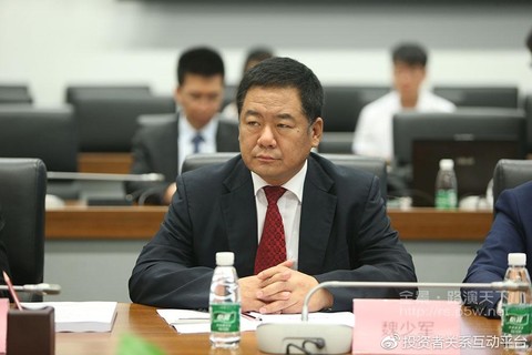 通达动力董事长,隆基泰和置业董事长 魏少军