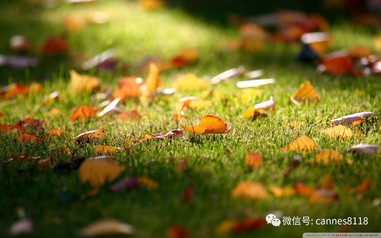 精选文章教养与修养的区别