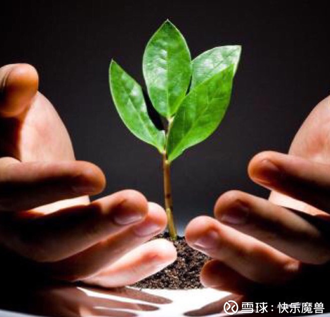 快乐投资:找到参天大树的小树苗,陪伴它一起成长.