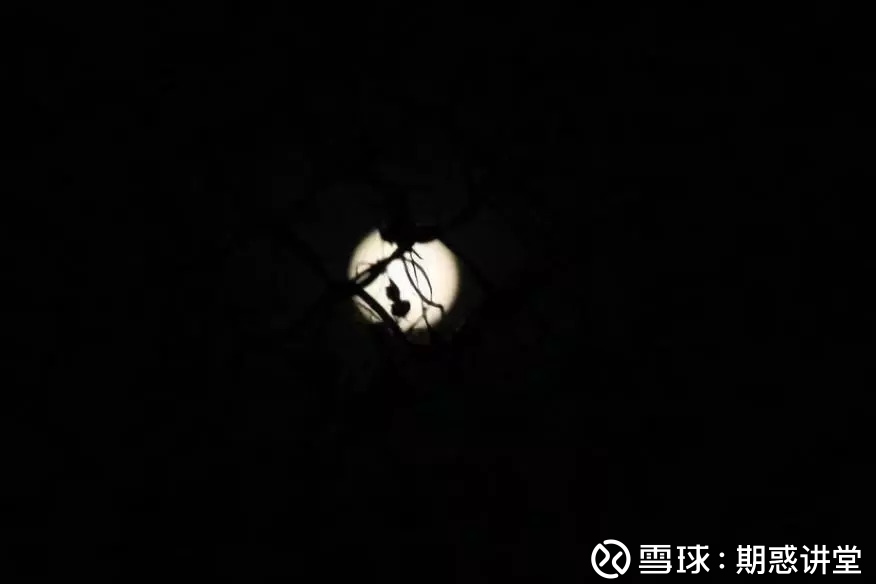 黑色系供给端故事还能讲多久