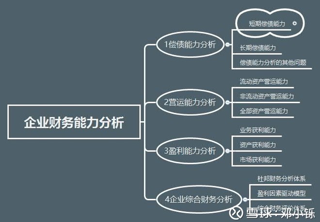 (2)企业偿债能力分析中框架