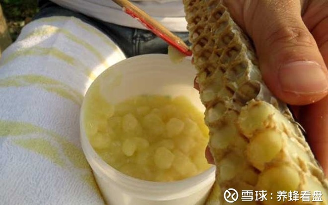 蜂王浆的作用与功效及食用方法