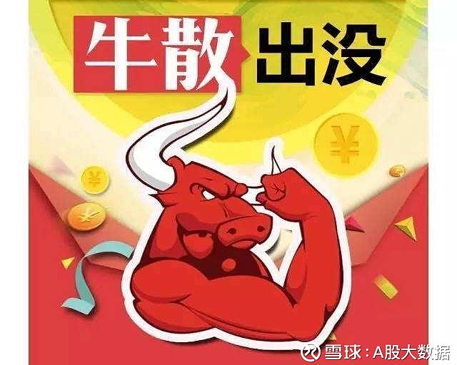 头部牛散统计 牛散持股明细 按照股票排序,可以发现 石雯和乔晓辉.