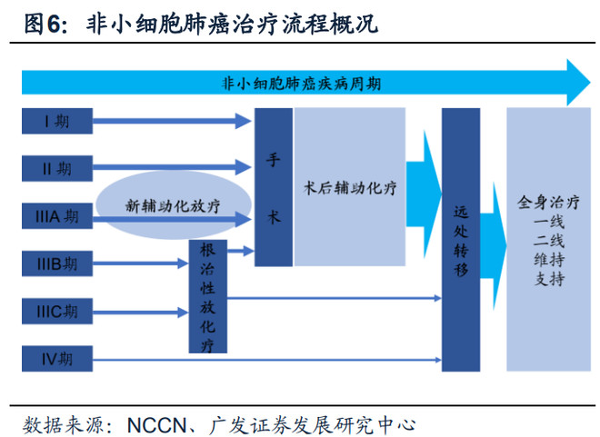 pd(l)1在晚期非小细胞肺癌治疗领域的格局