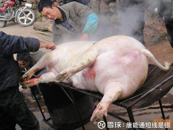 唐能通:大盘已经死猪不怕开水烫