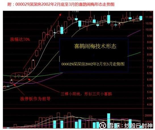 一旦出现失传已久的喜鹊闹梅坚定捂股后市行情将爆发