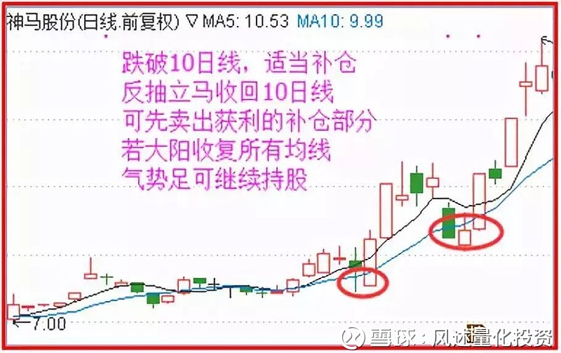 案例四:神马股份(600810)