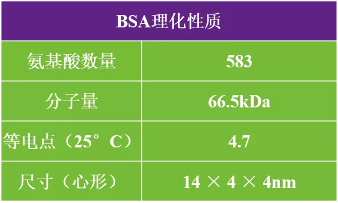 bsa氨基酸组成表