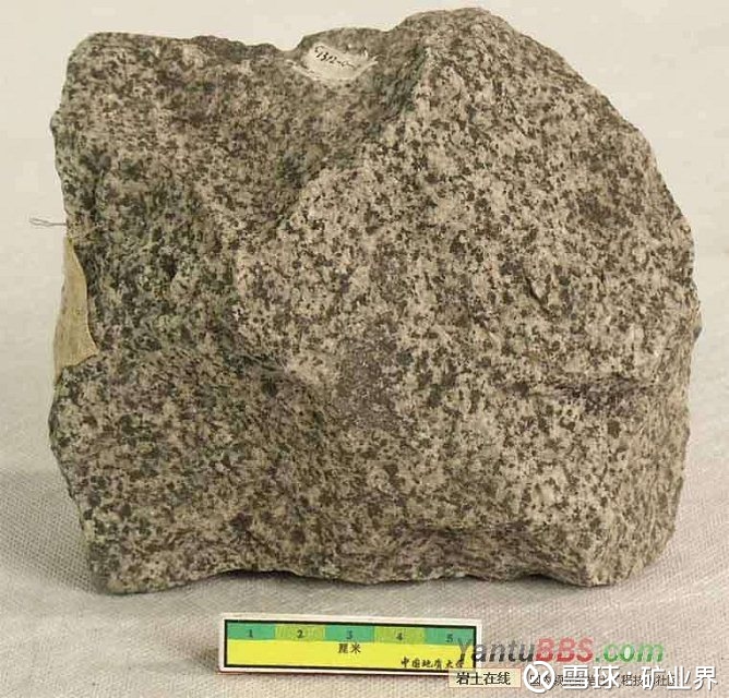 照片名称:闪长玢岩2 照片名称:闪长岩(高岭土化) 照片名称:闪长岩3