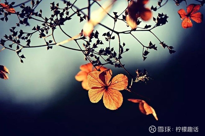 可悲可叹!承揽众多大型政务工程的老牌信息龙头年入仅