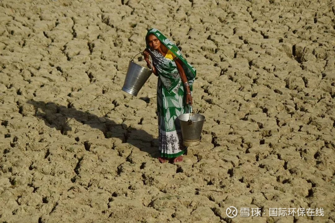 最高气温夏天来袭 65%的印度平民正饱受40℃热浪的煎熬