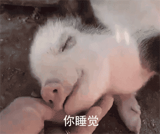 东区艺术名声邵威:努力才是人生真正的意义