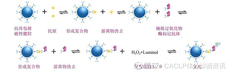 化学发光免疫分析主要技术与发展趋势