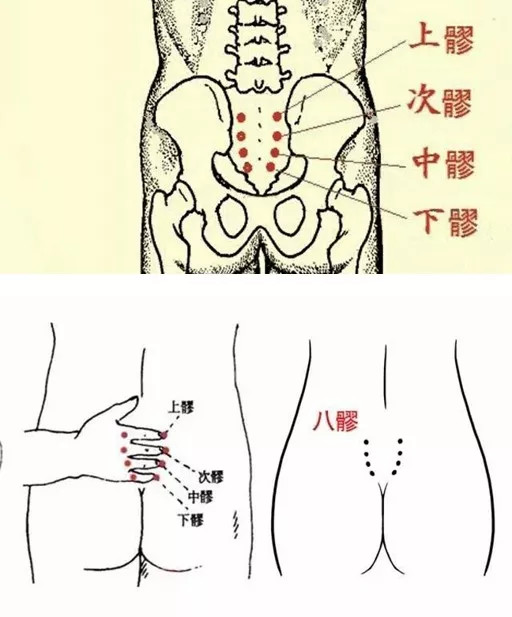 与身体前面腹股沟对应后面就是八髎穴,坐久了也是最容易淤堵的地方.