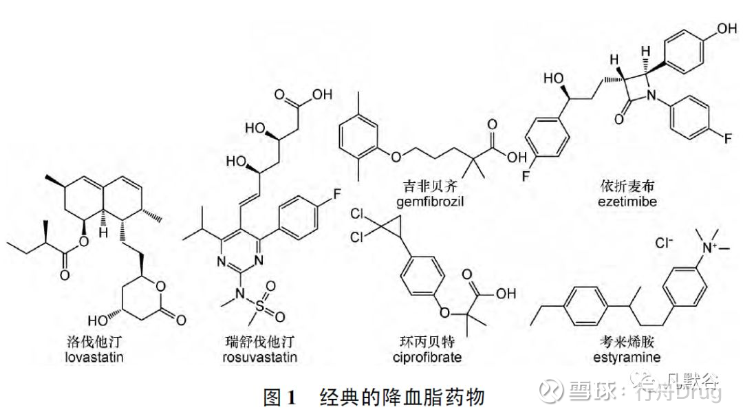 自1987 年首个被美国fda 批准的他汀类药物洛伐他汀上市以来,他汀类