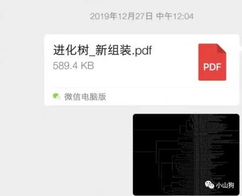 猛料:无名英雄先于疾控系统发现武汉冠状病毒！