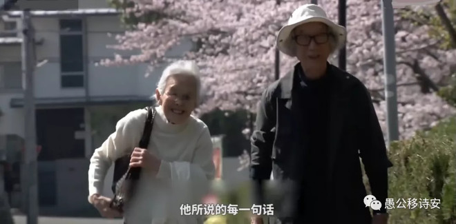 人生果实