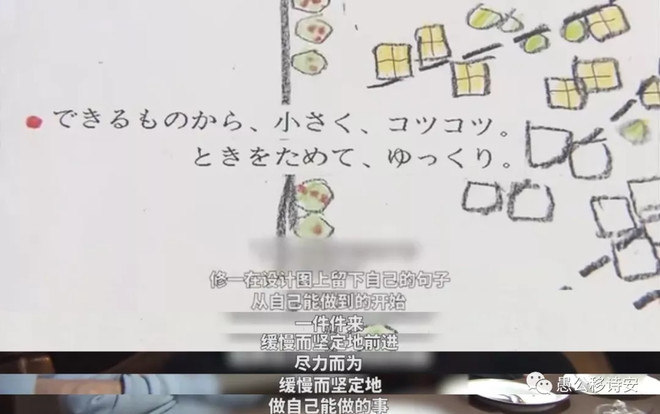 人生果实