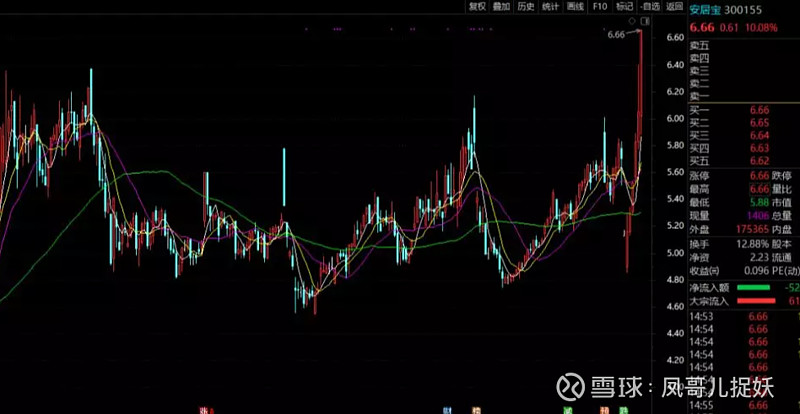 今日关注一个 新股票:安居宝!