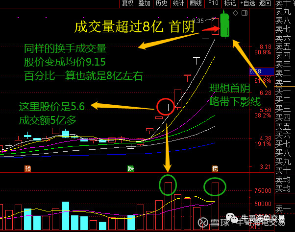 龙头的首阴