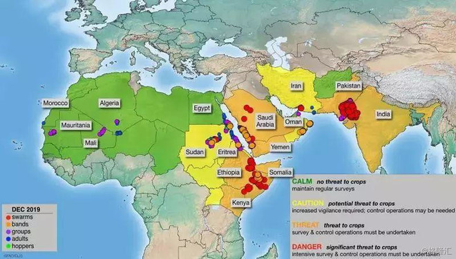 农药股上演涨停潮!蝗虫已经飞抵印度,巴基斯坦,入侵我国概率几何?